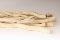 Корелиус (светлый), 30 см, упак. 10шт